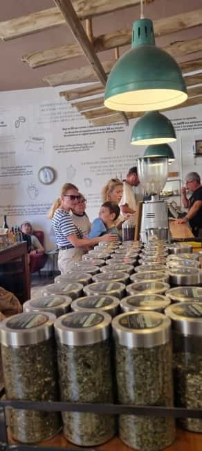 Fuerteventura North with Tapas (food) - Who should book this experience?