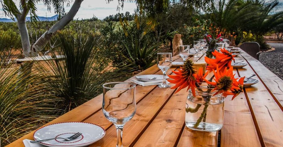 Fuerteventura: Tapas and Local Life Guided Tour - Seeing how Fuerteventura olive oil is made