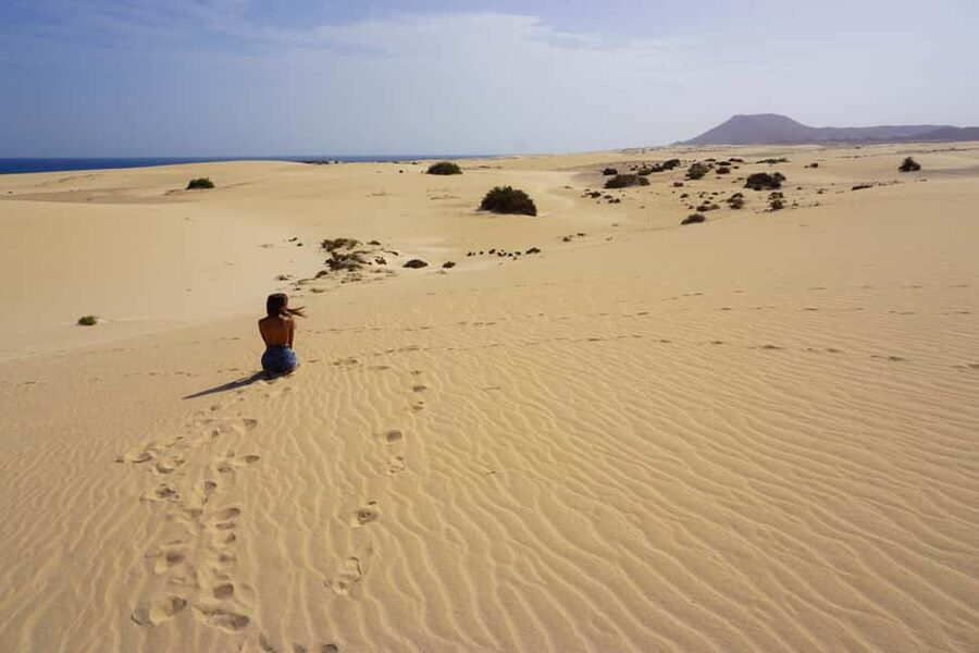 Fuerteventura: Top 5 Instagram Spots Full-Day Tour & Tapas - What the $111 price includes