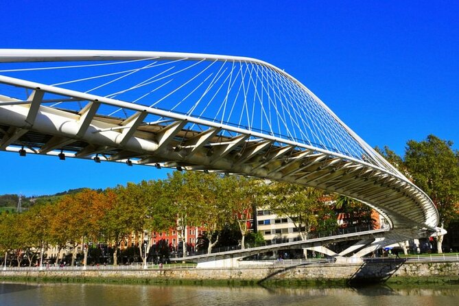Full-day private Bilbao tour (Guggenheim museum & full pintxo lunch included) - Pintxos in 13th-century Casco Viejo