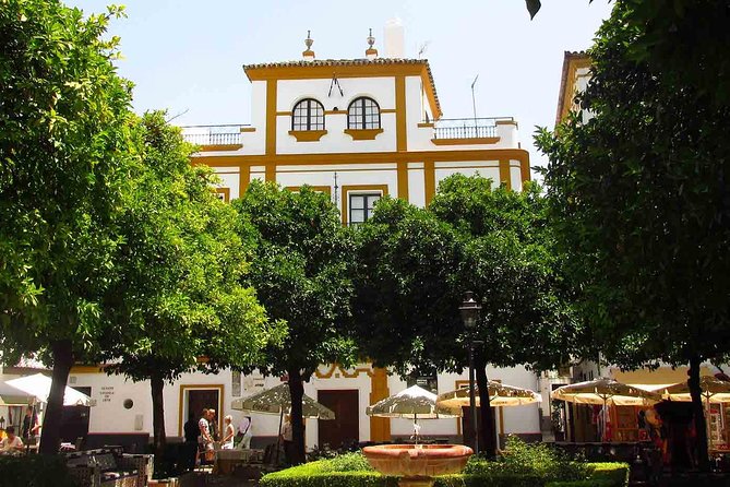 Full Day Seville Tour with tickets (optional Tapas & Flamenco) - Seville Cathedral and Christopher Columbus’s tomb