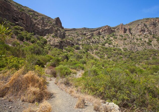 Gran Canaria 7 Highlights Small Group Tour with Tapas Picnic - Key points at a glance