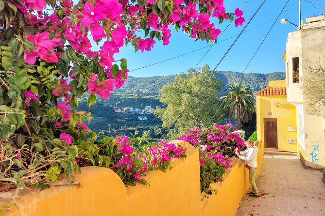 Gran Canaria 7 Highlights Small Group Tour with Tapas Picnic - A full island day, from coast to cloud level