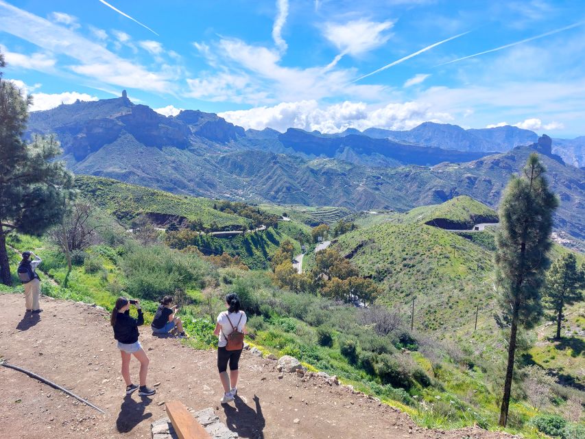 Gran Canaria 7 Highlights Small Group Tour with Tapas Picnic - Pico de las Nieves gives you the high point