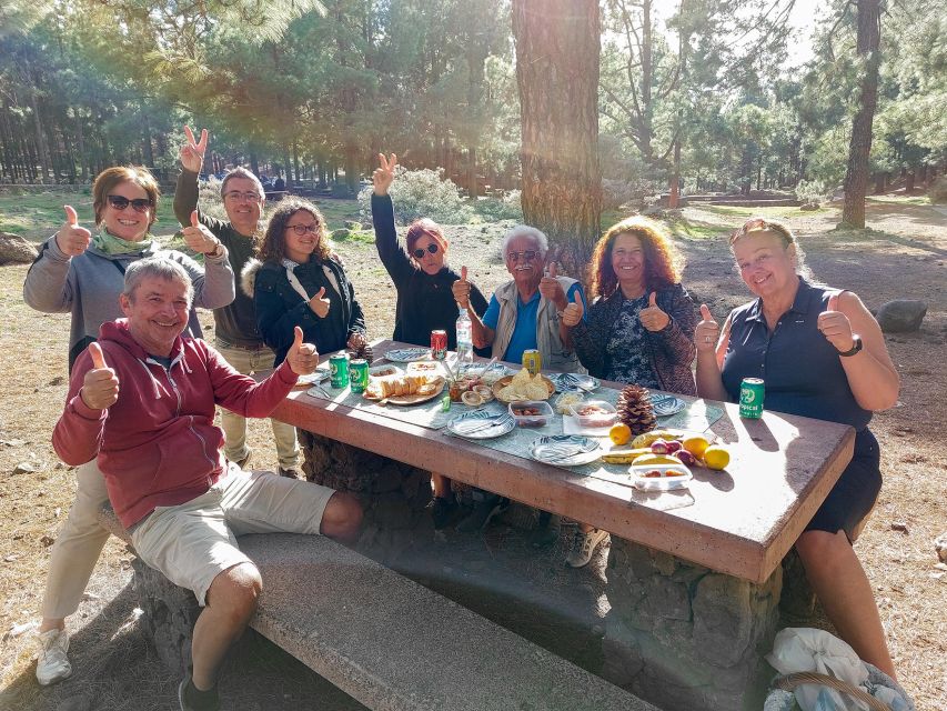 Gran Canaria 7 Highlights Small Group Tour with Tapas Picnic - What the van and group size mean in practice