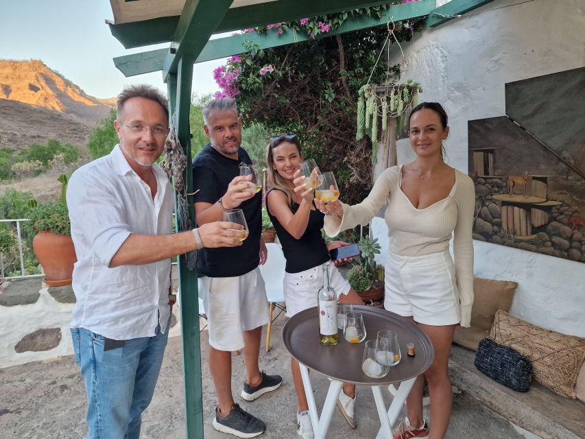 Gran Canaria: Spanish Tapas and Wine Tasting Tour in Mogan - The Spanish wines and the Gran Canaria connection