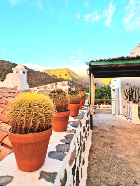 Gran Canaria: Spanish Tapas and Wine Tasting Tour in Mogan - What the $69 price gets you