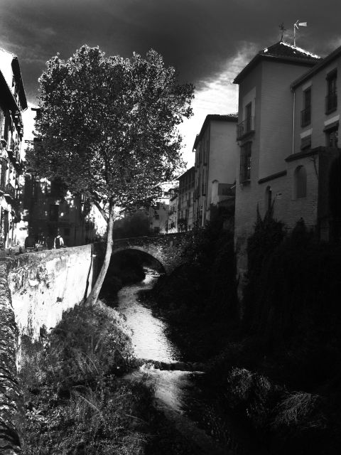 Granada Albaicín: 2.5-Hour Tapas & Drinks Walking Tour - What $112 buys you in Granada