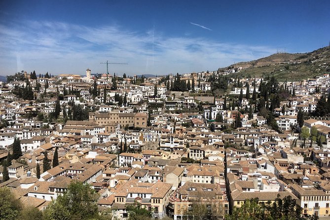 Granada and Albaicin: Wine and Tapas Tour - Three tapas stops, with food and drink included