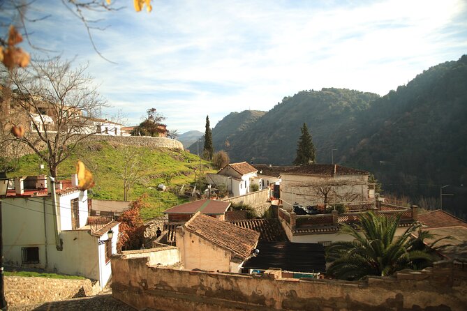 Granada Highlights Tour with Tapas Breaks by Electric Bike - Tapas breaks and what to expect