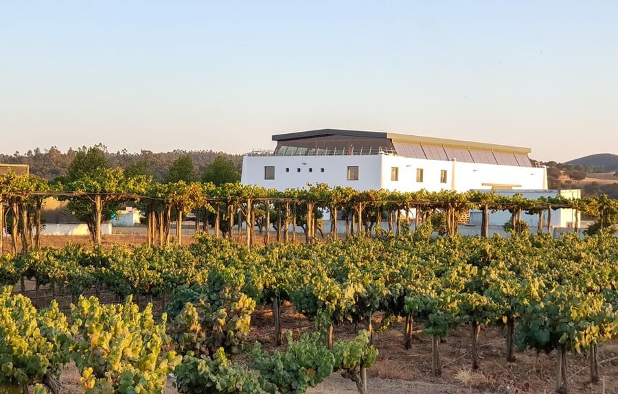 Herdade Canal Caveira Winery Visit with TOP5 Wines & Tapas - A good choice for families and small private groups