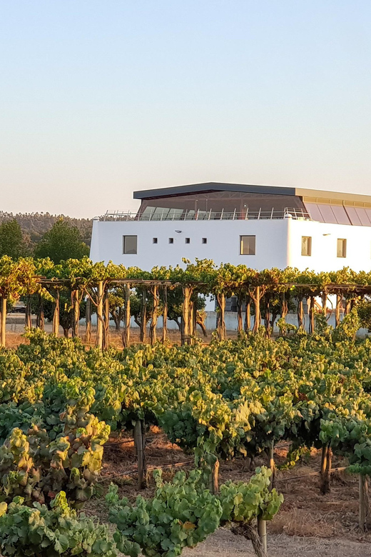 Herdade Canal Caveira Winery Visit with TOP5 Wines & Tapas - The $46 price: what you are really paying for