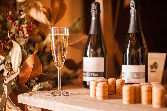 High-End Vineyard Escape: Cava, Tapas & Wine | Private Tour - The wine, food, and countryside balance