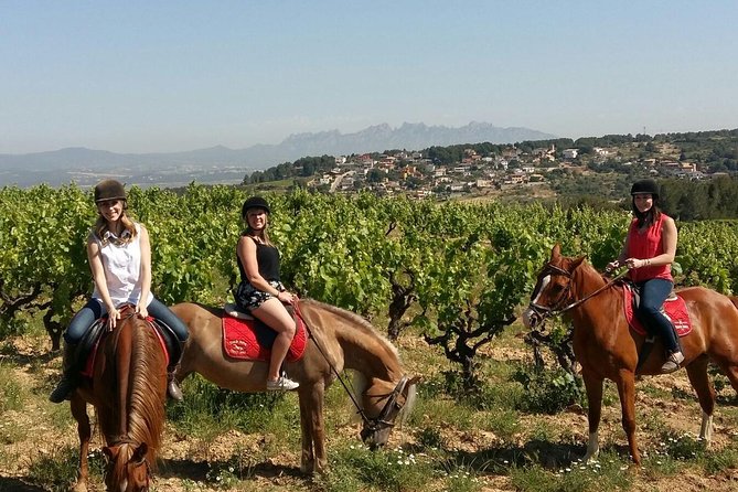 Horseback Ride, Penedes, Wine Tasting & Tapas Private Tour - Key details at a glance
