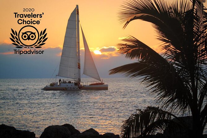 Key West Sunset Sail: Dolphin Watching, Wine, and Tapas - Is $89 a fair price?