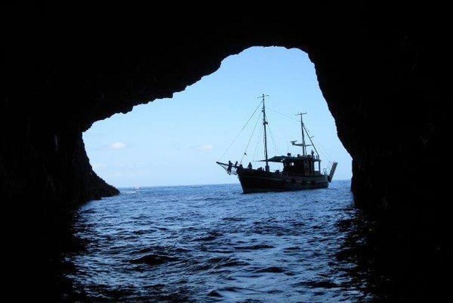 La Palma: 4-Hour Coastline Cruise with Tapas and Barbecue - Who will enjoy this cruise most?