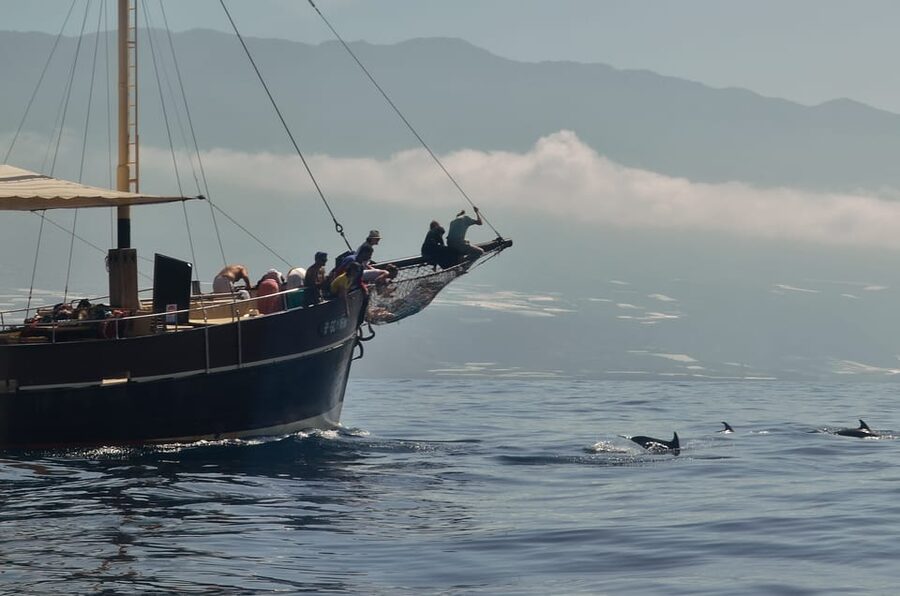 La Palma: 4-Hour Coastline Cruise with Tapas and Barbecue - What the 12-person size changes