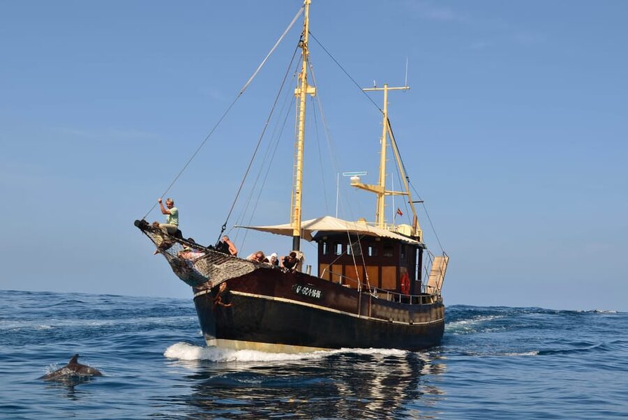 La Palma: 4-Hour Coastline Cruise with Tapas and Barbecue - Is $88 a fair price?