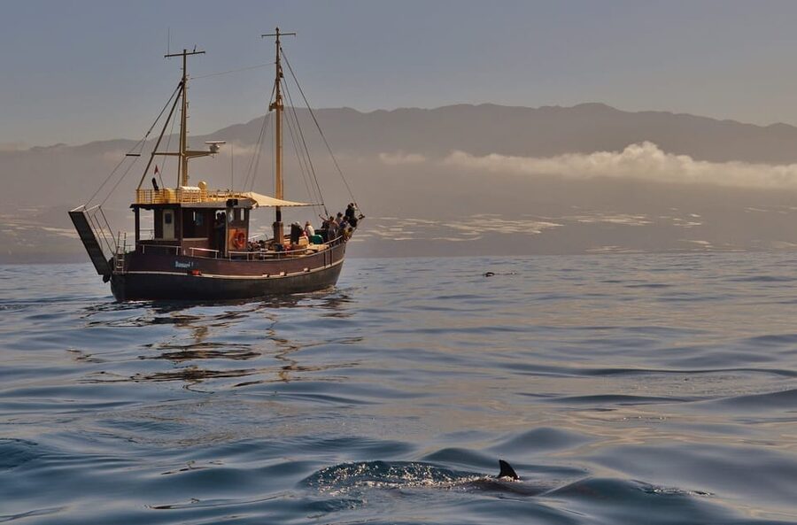 La Palma: 4-Hour Coastline Cruise with Tapas and Barbecue - The first hour, views of La Palma from the water
