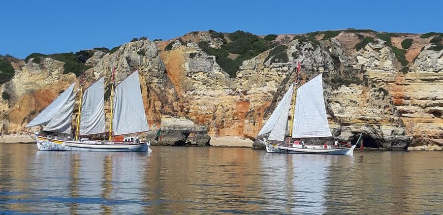 Lagos: Ponta Piedade Sail & Caves Cruise w/Portuguese Tapas - Swimming, Sunbathing, and Waiting Your Turn