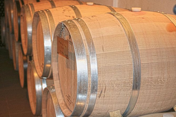 Lagos, Portimão & Carvoeiro: Wine Tasting, Tapas & Music Tour - Who should book this experience?