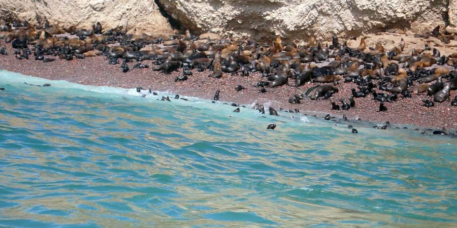 Lagos/Praia da Luz: Wine Tour, Tastings, Tapas, and Music - Shared group or private visit
