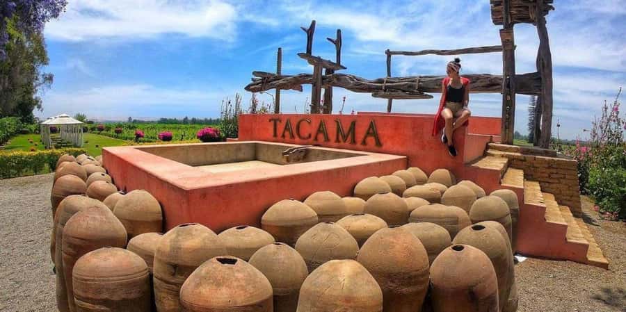 Lagos/Praia da Luz: Wine Tour, Tastings, Tapas, and Music - How the price compares with the experience