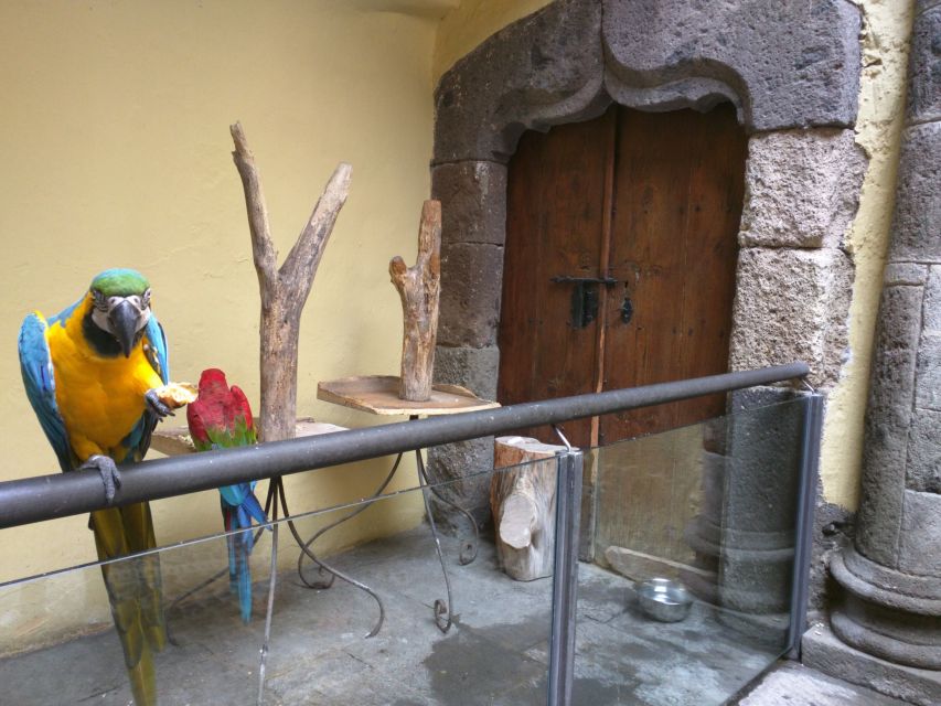 Las Palmas: Private Old City Guided Walking Tour with Tapas - Triana, city views, and the details you could miss