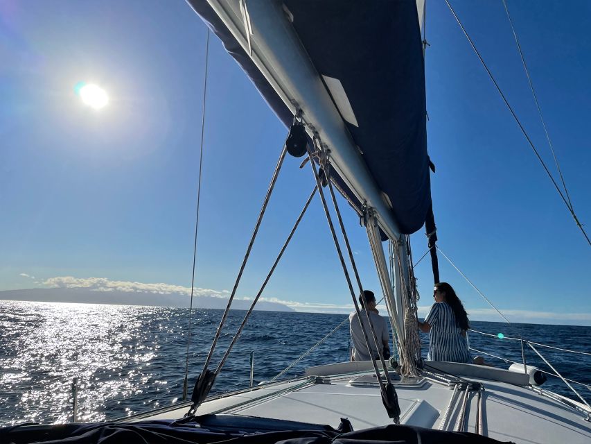 Los Gigantes: Private Sailing Tour with Swim, Drink, & Tapas - Who will enjoy this private sailing trip