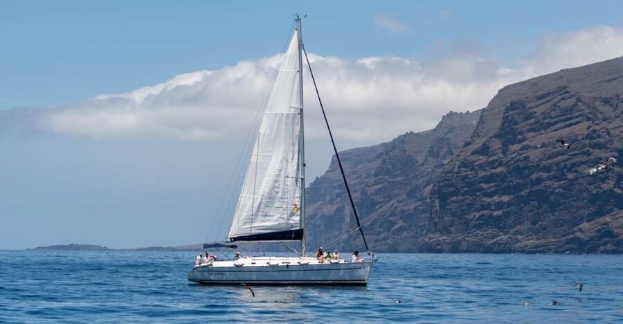 Los Gigantes: Sailing Excursion with Swimming, Drink & Tapas - Sailing Out From Puerto de Los Gigantes