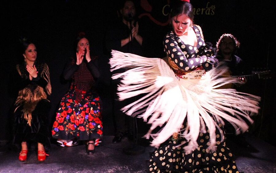 Madrid: Flamenco Show with Tapas and Wine Tour - Key points to know before booking