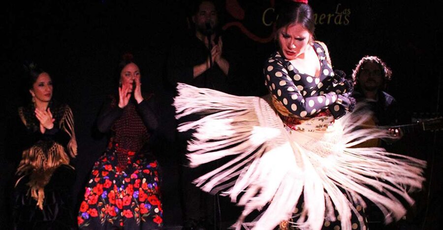 Madrid: Flamenco Show with Tapas and Wine Tour - Plaza Mayor and the Barrio de las Letras