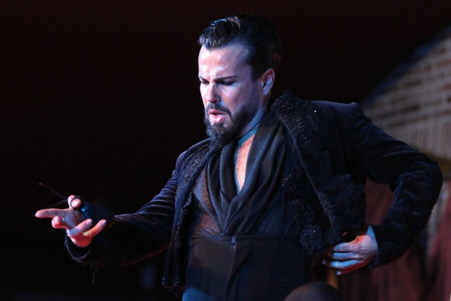 Madrid: Los Porches Flamenco Show with Tapas and Wine Ticket - Why the Spanish audience and location matter