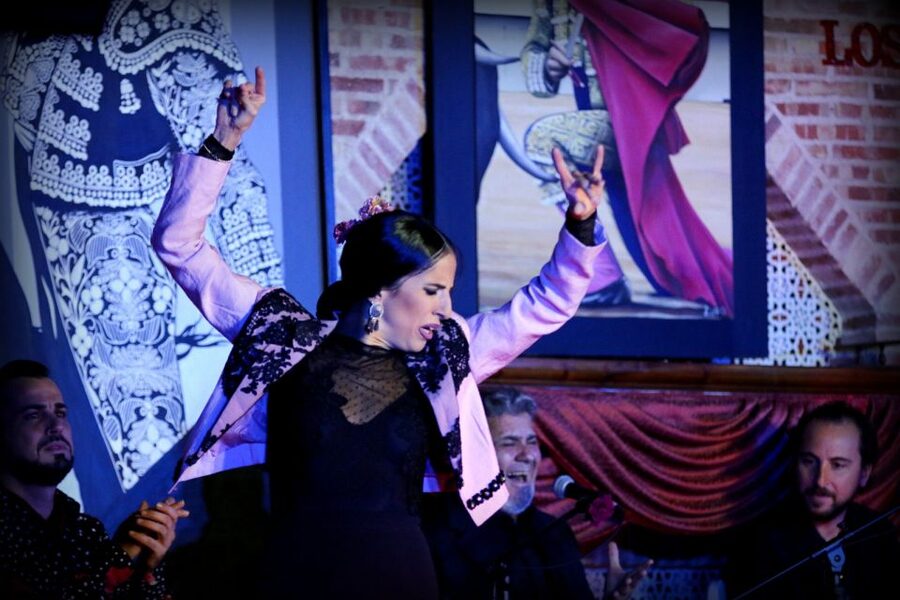 Madrid: Los Porches Flamenco Show with Tapas and Wine Ticket - Arriving and meeting the Spanish-speaking host