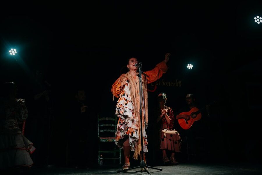 Madrid: Tapas Tour & Authentic Flamenco Experience - Iberian ham, cheese, and the art of tapas
