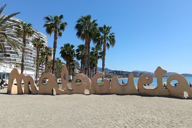 Malaga Bike Tour - Wine & Tapas - What the guide can add