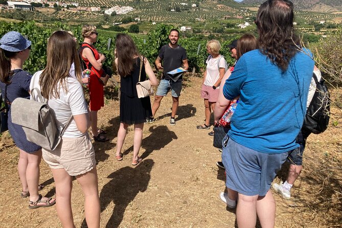Malaga Organic Vineyard and Winery Six Wines Tapas and Transfer - What makes this Málaga wine tour special