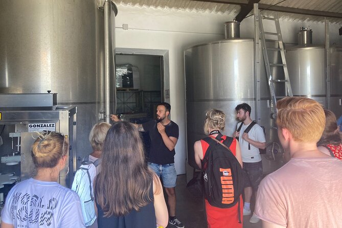 Malaga Organic Vineyard and Winery Six Wines Tapas and Transfer - Leaving Málaga from Plaza de la Marina