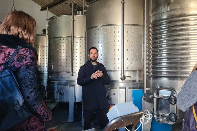 Malaga Organic Vineyard and Winery Six Wines Tapas and Transfer - Six wines and a generous food pairing