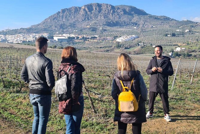 Malaga Organic Vineyard and Winery Six Wines Tapas and Transfer - Why the small group changes the mood