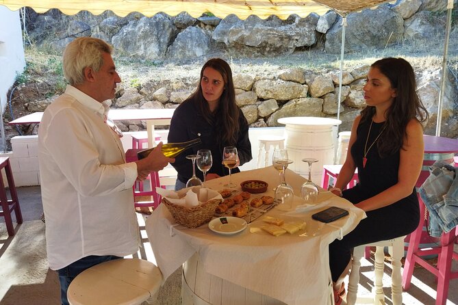 Malaga Organic Vineyard and Winery Six Wines Tapas and Transfer - Should you book the Málaga organic vineyard tour?