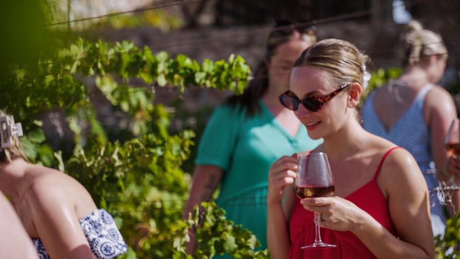 Malaga: Organic Vineyard Tour with 6 Wines, Tapas & Transfer - What makes this Málaga wine trip different