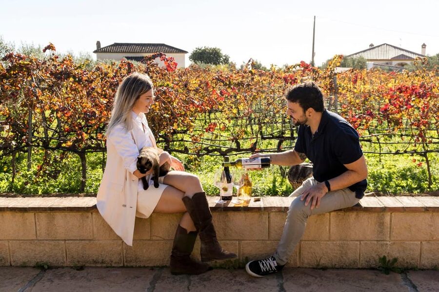 Malaga: Organic Vineyard Tour with 6 Wines, Tapas & Transfer - From Plaza de la Marina to the Andalusian hills