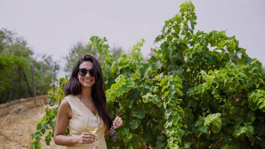 Malaga: Organic Vineyard Tour with 6 Wines, Tapas & Transfer - Inside Antonio’s intimate production cellar