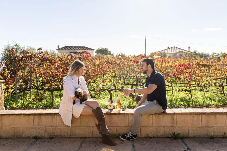 Malaga: Organic Vineyard Tour with 6 Wines, Tapas & Transfer - Six wines, with room for more