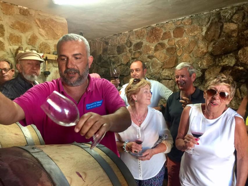 Malaga: Organic Vineyard Tour with 6 Wines, Tapas & Transfer - How the timing works in real life