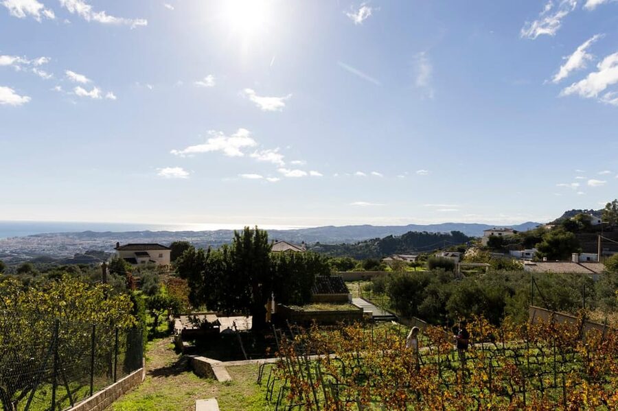 Malaga: Organic Vineyard Tour with 6 Wines, Tapas & Transfer - Is $112 a fair price?