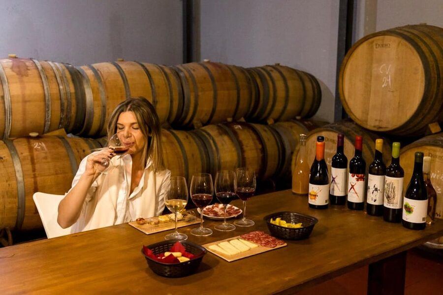 Malaga: Organic Vineyard Tour with 6 Wines, Tapas & Transfer - Walking the organic vines at Viñedo Malvajio