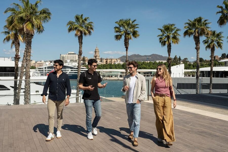 Málaga: Tapas, Wine & Rooftops Private Tour - The rooftop finish near the Cathedral