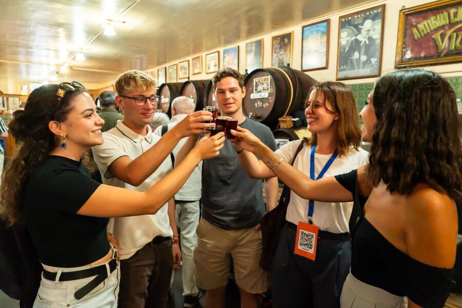Malaga: Wine and Tapas Tour with Tastings and Drinks - Who should book this evening?